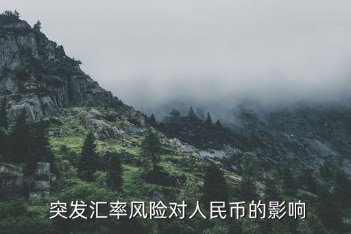  突发汇率风险对人民币的影响