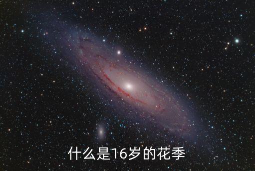 什么是16岁的花季