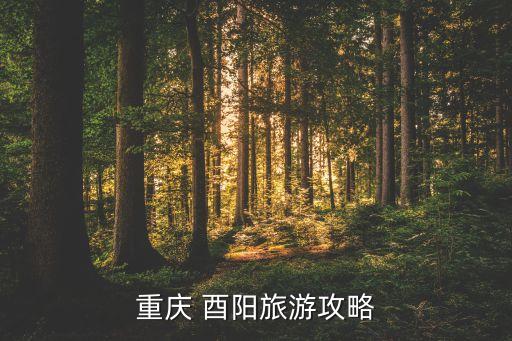 重庆 酉阳旅游攻略