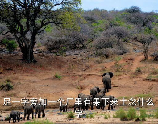 足一字旁加一个厂里有果下来土念什么字