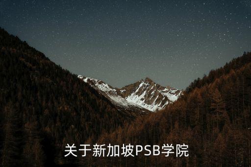  关于新加坡PSB学院