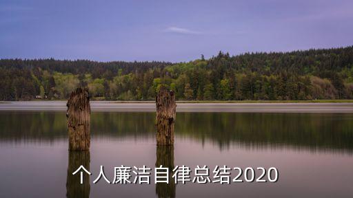 个人廉洁自律总结2020