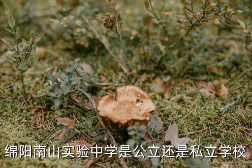 绵阳南山实验中学是公立还是私立学校