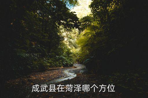 成武县在菏泽哪个方位