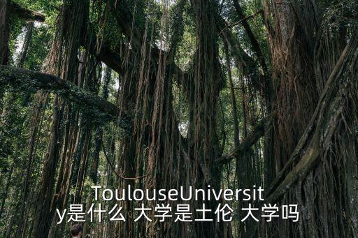 ToulouseUniversity是什么 大学是土伦 大学吗