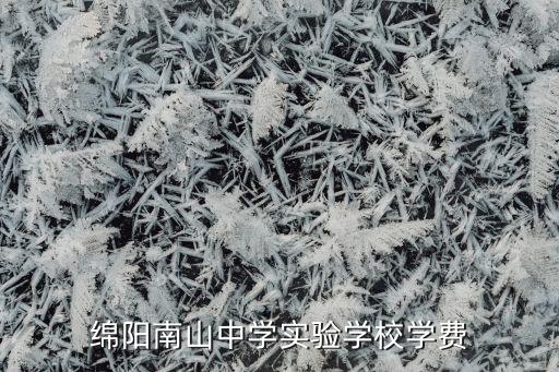 绵阳南山中学实验学校学费