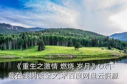 《重生之激情 燃烧 岁月》txt下载在线阅读全文,求百度网盘云资源