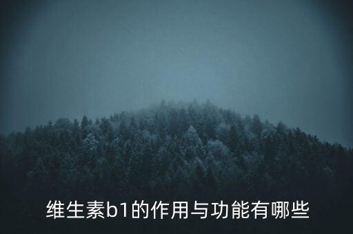  维生素b1的作用与功能有哪些