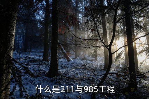  什么是211与985工程