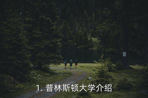 1. 普林斯顿大学介绍