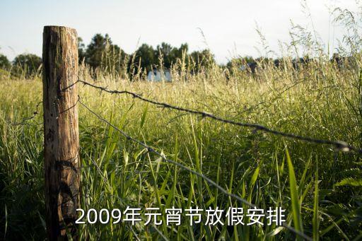 2009年元宵节放假安排