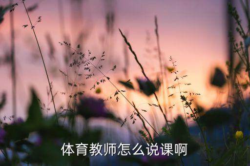 体育教师怎么说课啊