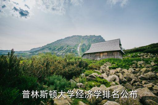  普林斯顿大学经济学排名公布