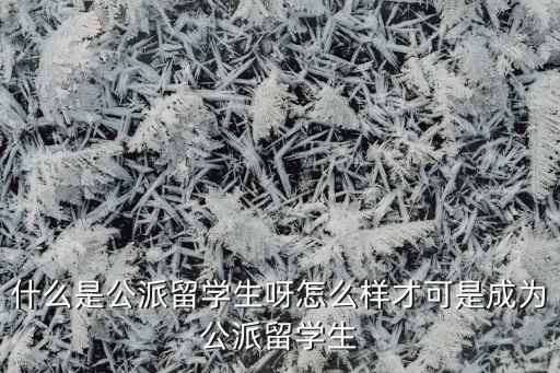 什么是公派留学生呀怎么样才可是成为公派留学生