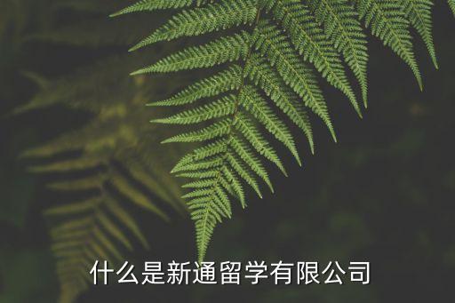  什么是新通留学有限公司