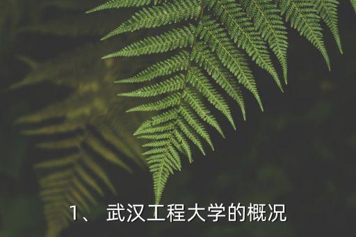 1、 武汉工程大学的概况