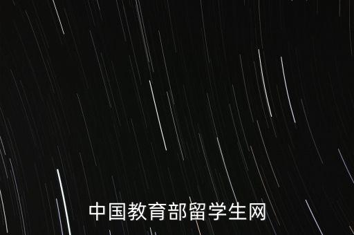 中国教育部留学生网