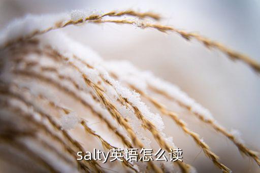 salty英语怎么读