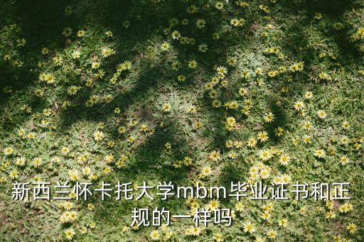 新西兰怀卡托大学mbm毕业证书和正规的一样吗