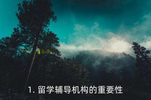 1. 留学辅导机构的重要性