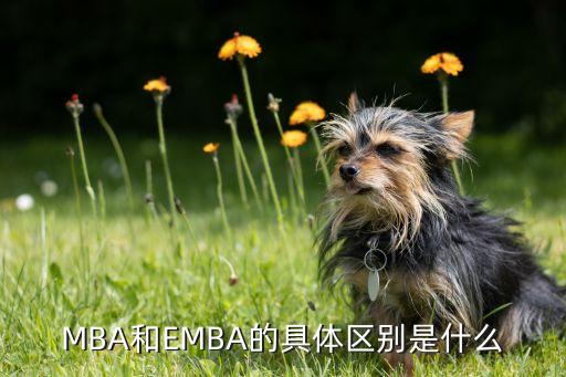 MBA和EMBA的具体区别是什么