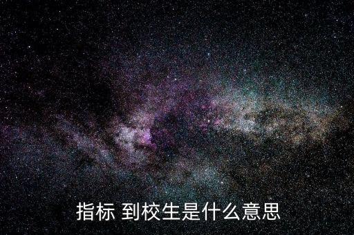  指标 到校生是什么意思