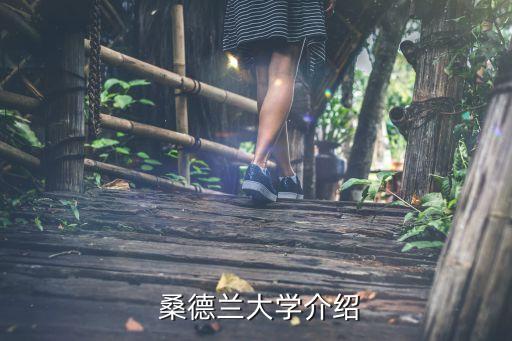  桑德兰大学介绍