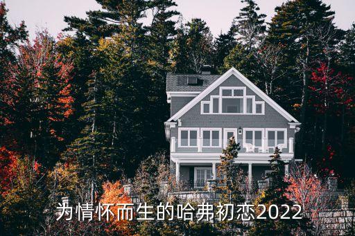  为情怀而生的哈弗初恋2022