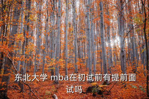  东北大学 mba在初试前有提前面试吗