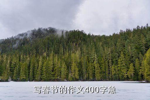 写春节的作文400字急