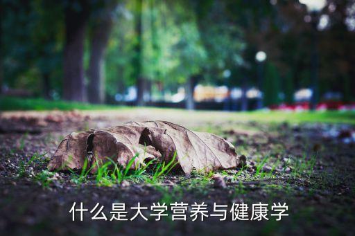  什么是大学营养与健康学