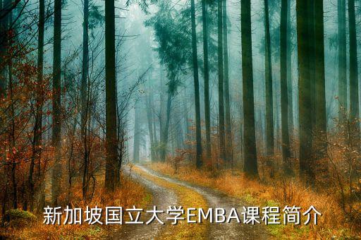  新加坡国立大学EMBA课程简介