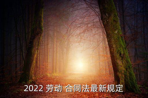 2022 劳动 合同法最新规定