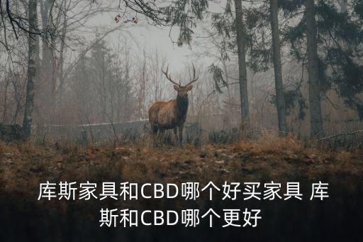  库斯家具和CBD哪个好买家具 库斯和CBD哪个更好