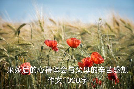  采茶后的心得体会与父母的辛苦感想 作文1000字