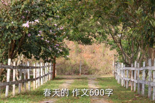  春天的 作文600字