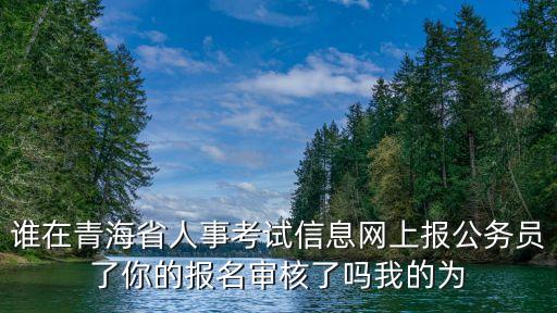 谁在青海省人事考试信息网上报公务员了你的报名审核了吗我的为