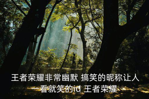  王者荣耀非常幽默 搞笑的昵称让人一看就笑的id 王者荣耀