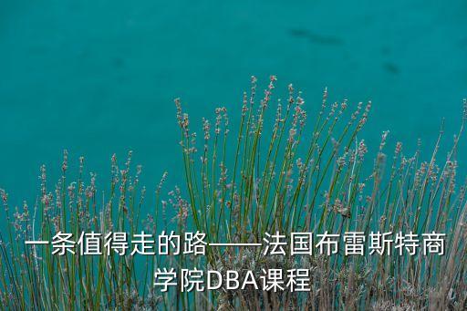  一条值得走的路——法国布雷斯特商学院DBA课程