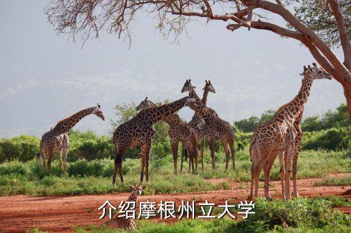  介绍摩根州立大学