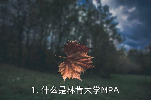 1. 什么是林肯大学MPA