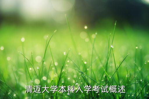  清迈大学本科入学考试概述