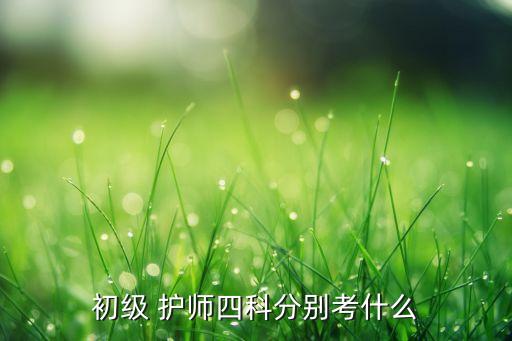 初级 护师四科分别考什么