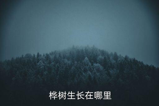  桦树生长在哪里