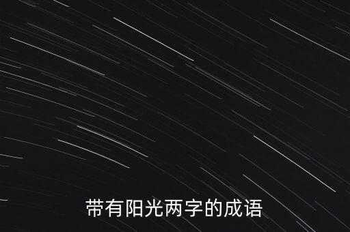 带有阳光两字的成语