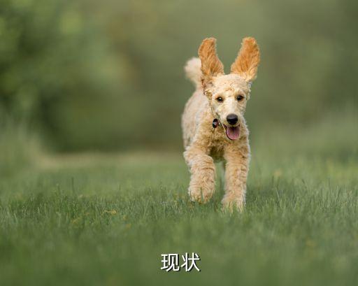  现状