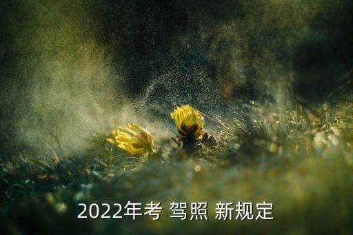 2022年考 驾照 新规定