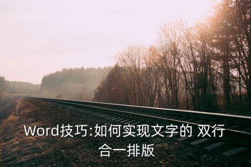 Word技巧:如何实现文字的 双行 合一排版