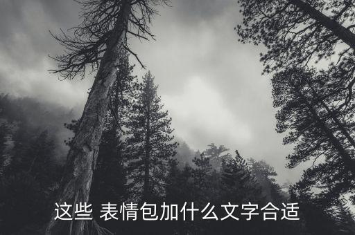 这些 表情包加什么文字合适