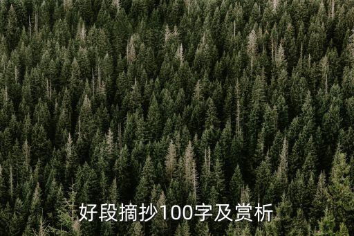 好段摘抄100字及赏析